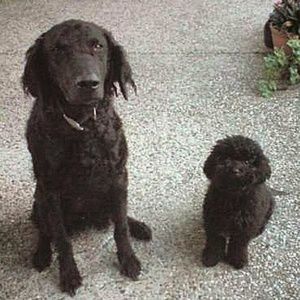 Meet your Posher, Jayne